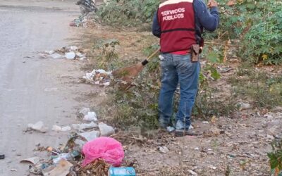 Servicios Públicos realiza trabajos de barrido y recolección para mantener las vialidades limpias.