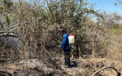 #incendiosforestales2025|| Los incendios forestales han comenzado en gran parte de la zona norte de Nayarit.