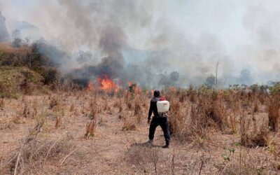 #incendiosforestales2025|| Personal de Proteccion Civil de Acaponeta y Policia Municipal trabajan en coordinacion con autoridades locales de El Resbalon para tratar de sod