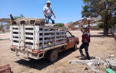 #ServiciosPúblicos|| Para el presidente municipal Manuel Ramón Salcedo Osuna la mejora de los espacios comunes, es una prioridad;