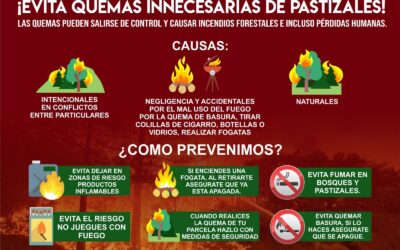 #incendiosforestales2025|| Todas y todos podemos sumar para evitar incendios forestales: ¡Infórmate y comparte! #SigamosAvanzando