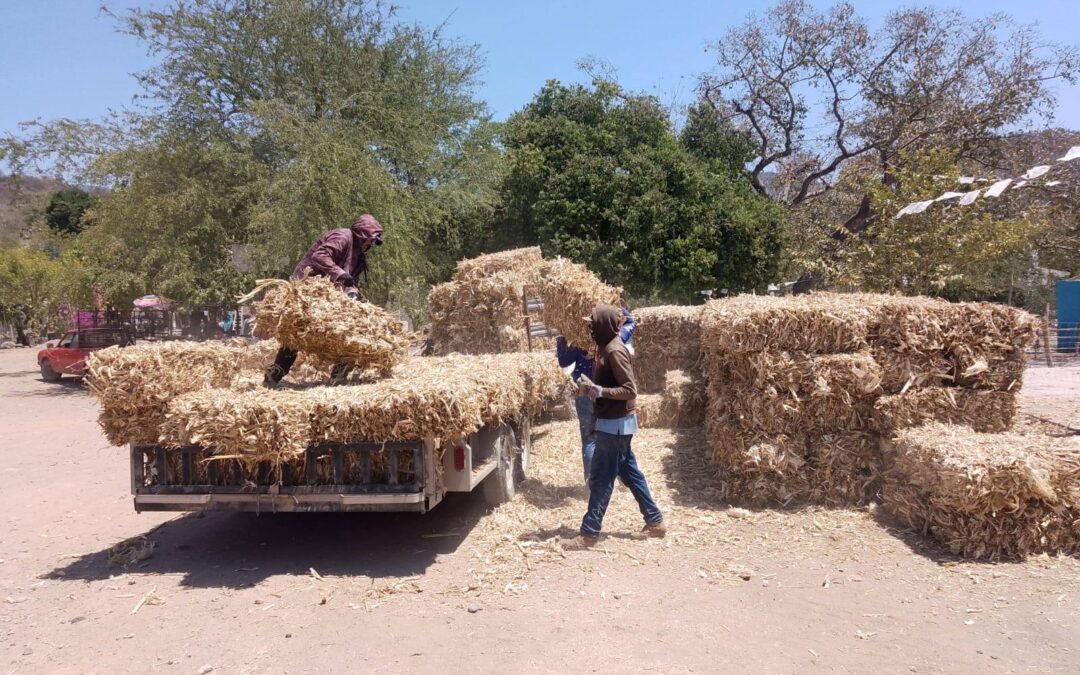 #campo|| Entrega de pacas en la comunidad de El Motaje.