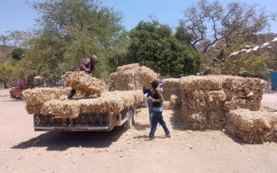 #campo|| Entrega de pacas en la comunidad de El Motaje.